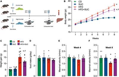 Sucralose consumption ameliorates high-fat diet-induced glucose intolerance and liver weight gain in mice